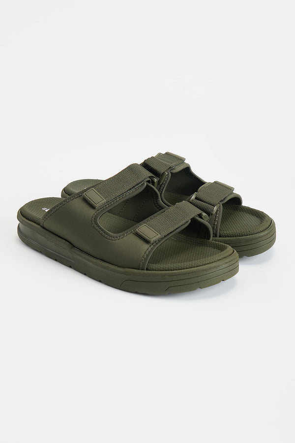 981977-Olive (2).jpg