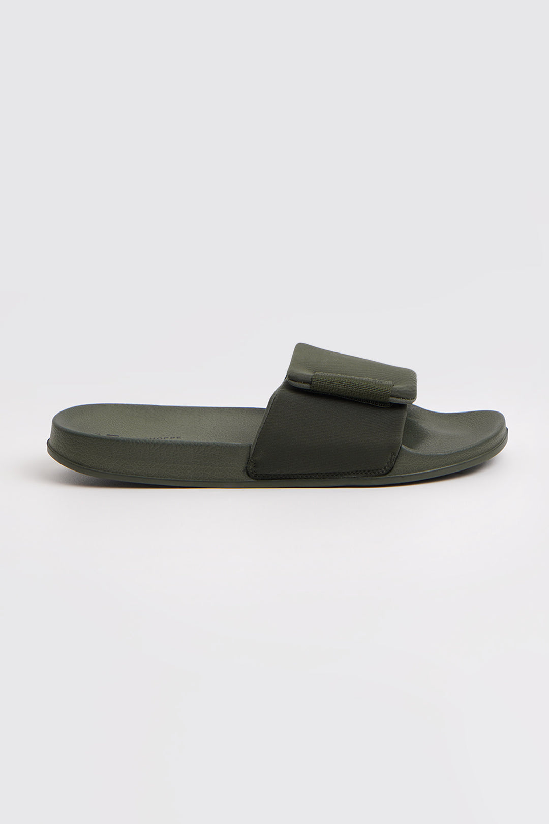 983878-Olive (3).jpg