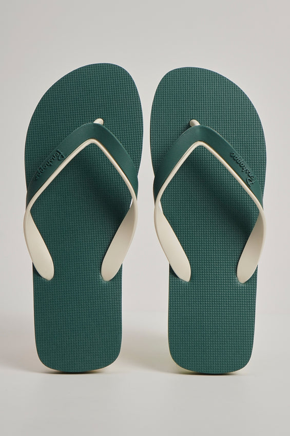 984942-Forest Green (1).jpg
