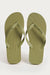 986020-Burnt Olive (4).jpg