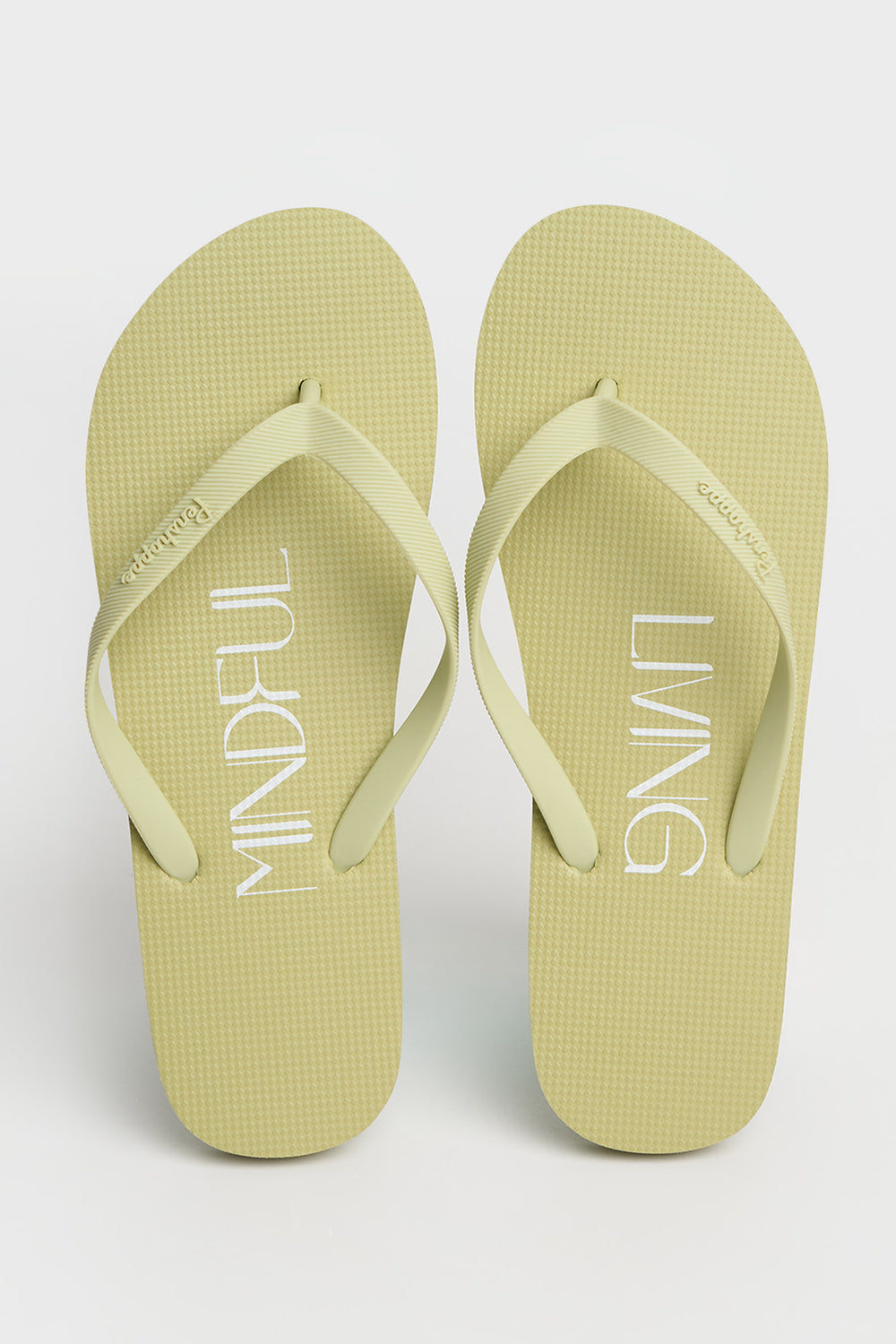 986023-Pastel Green (1).jpg