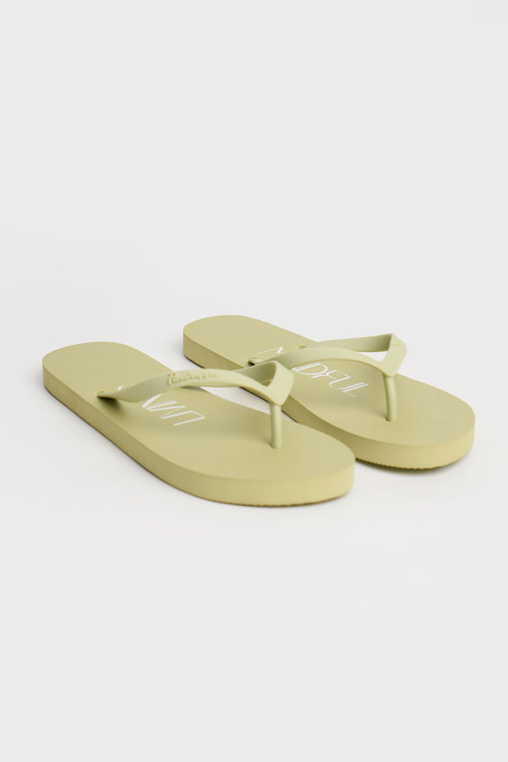 986023-Pastel Green (4).jpg