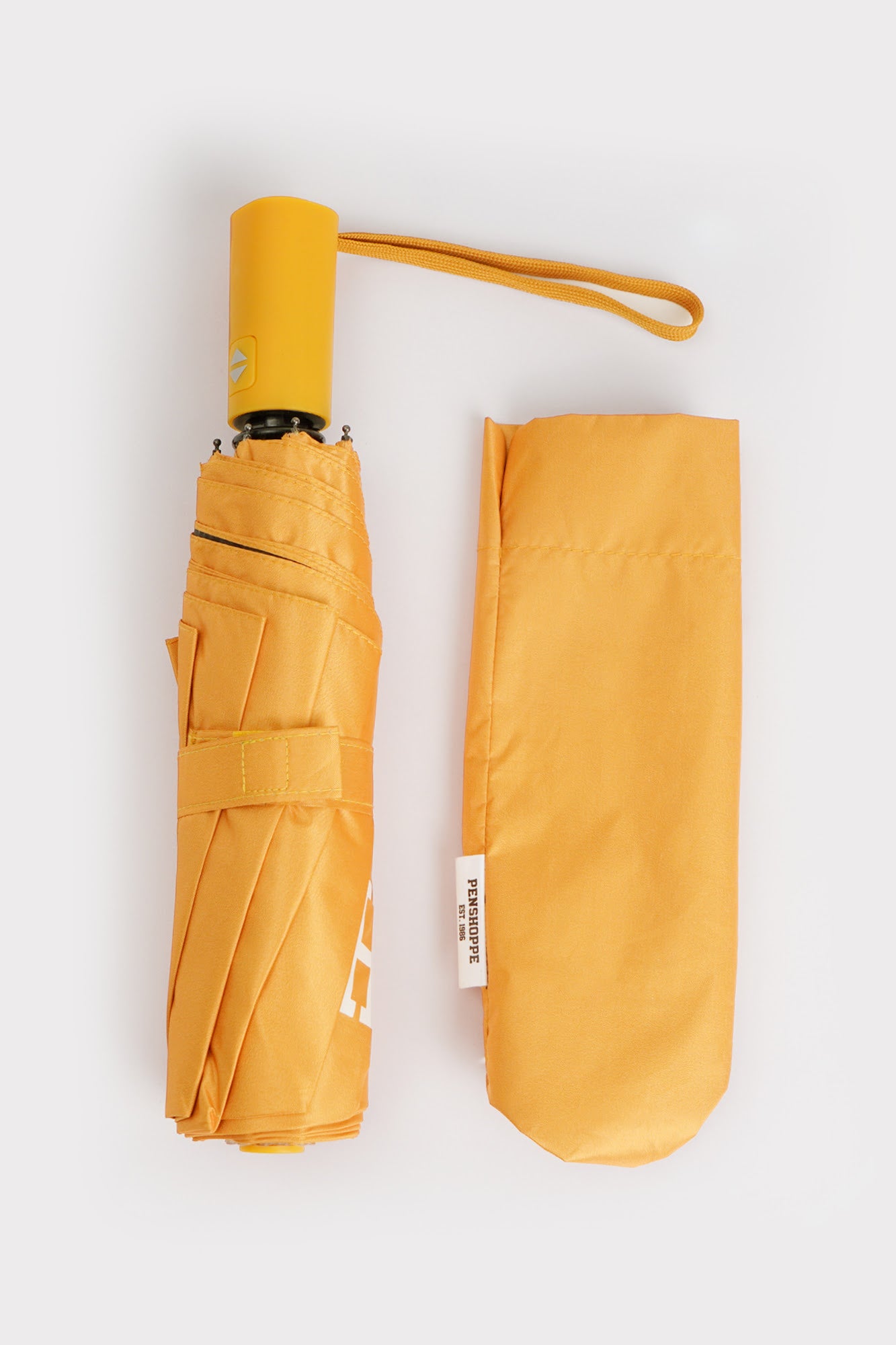 987497-Mustard (4).jpg