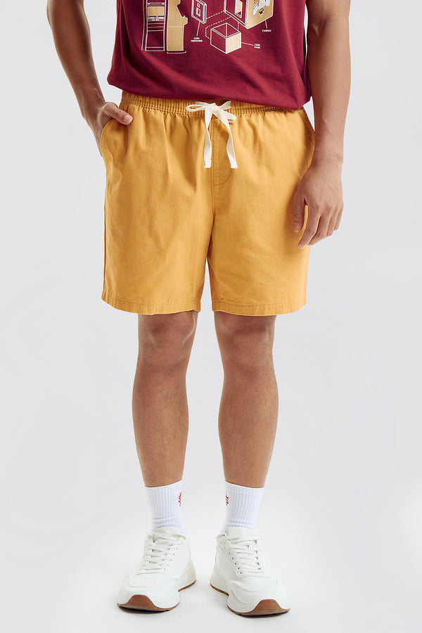 987761-Mustard (3).jpg