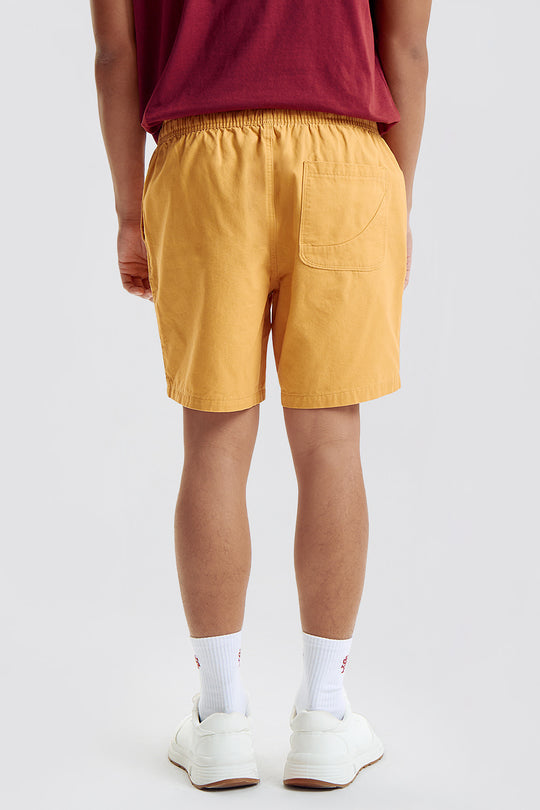 987761-Mustard (4).jpg