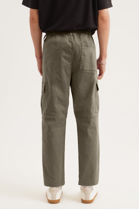 987898-Olive (5).jpg