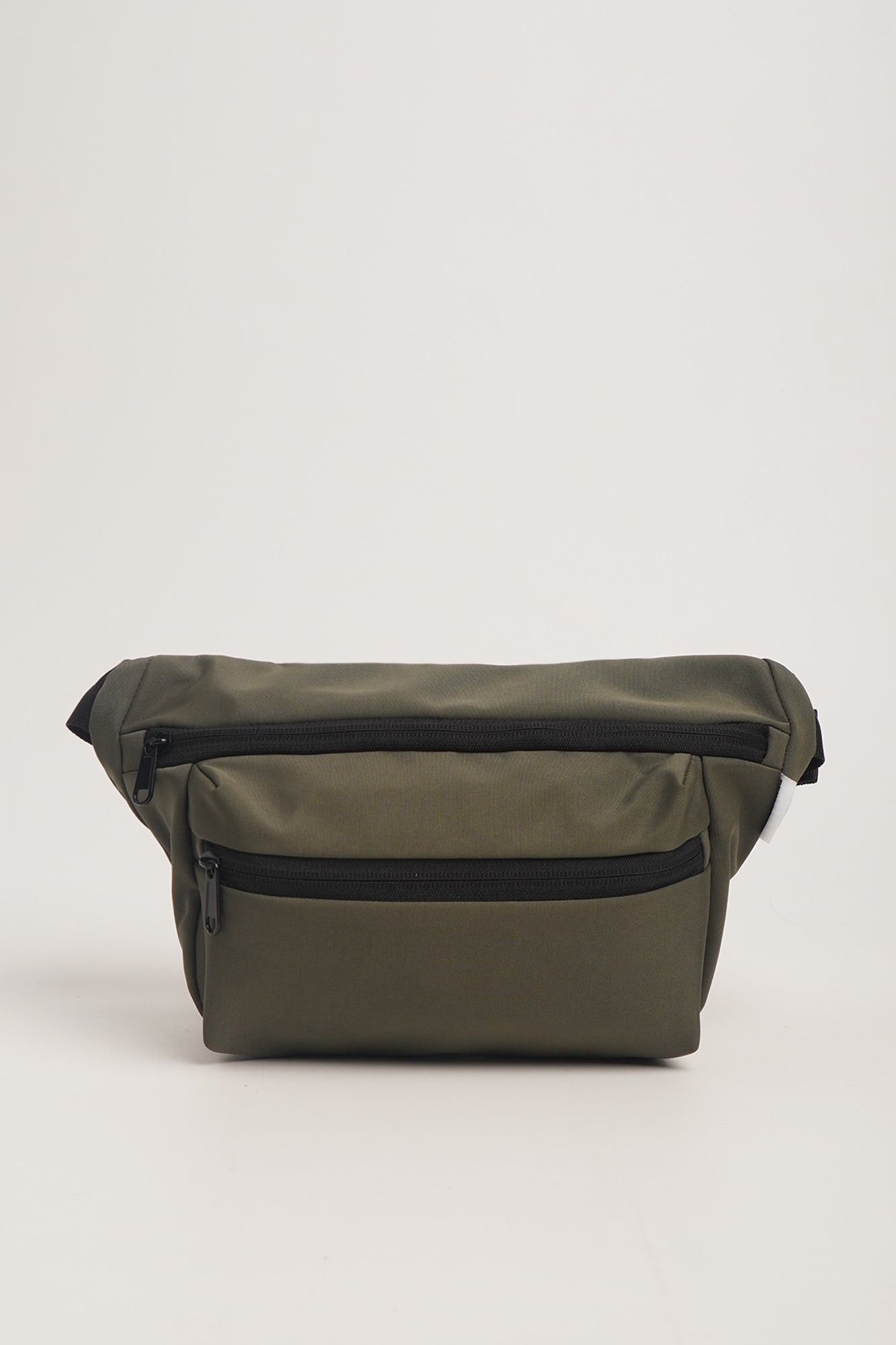 987978-Olive (1).jpg