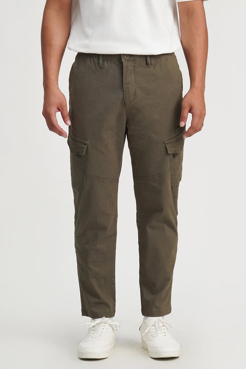 988267-Olive (3).jpg