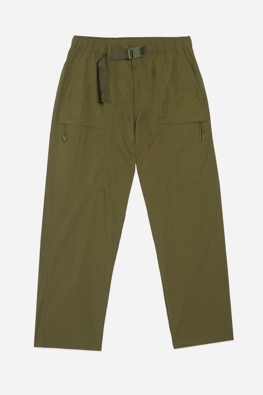 988573-Olive (3).jpg