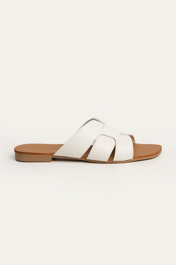 988636-White (1).jpg