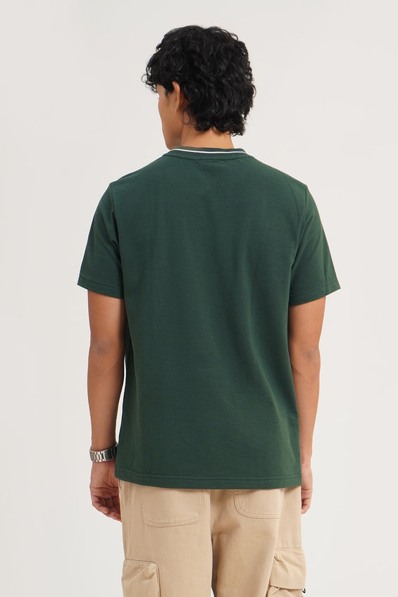 988955-Bottle Green (4).jpg
