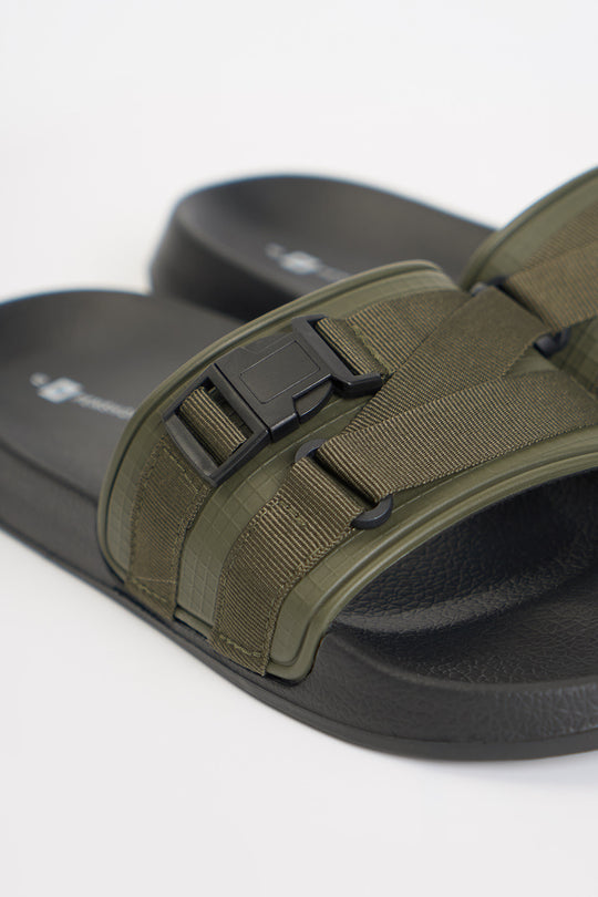 991356-Olive (4).jpg