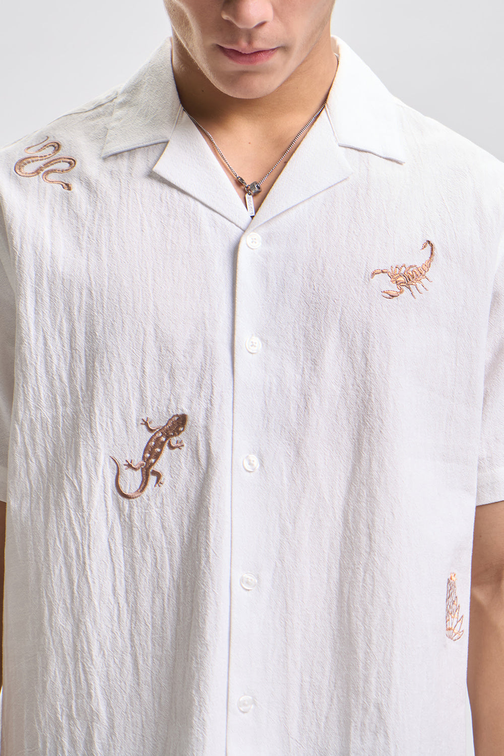 991450-Ivory (2).jpg