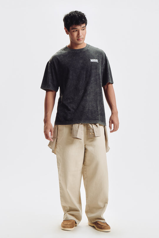 992256-Acid Gray (1).jpg