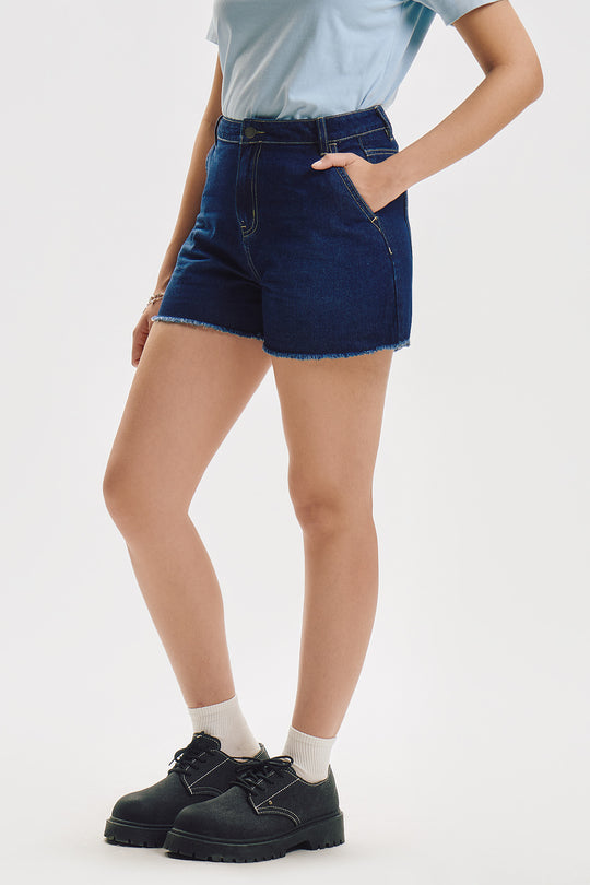 992301-Medieval Blue (4).jpg