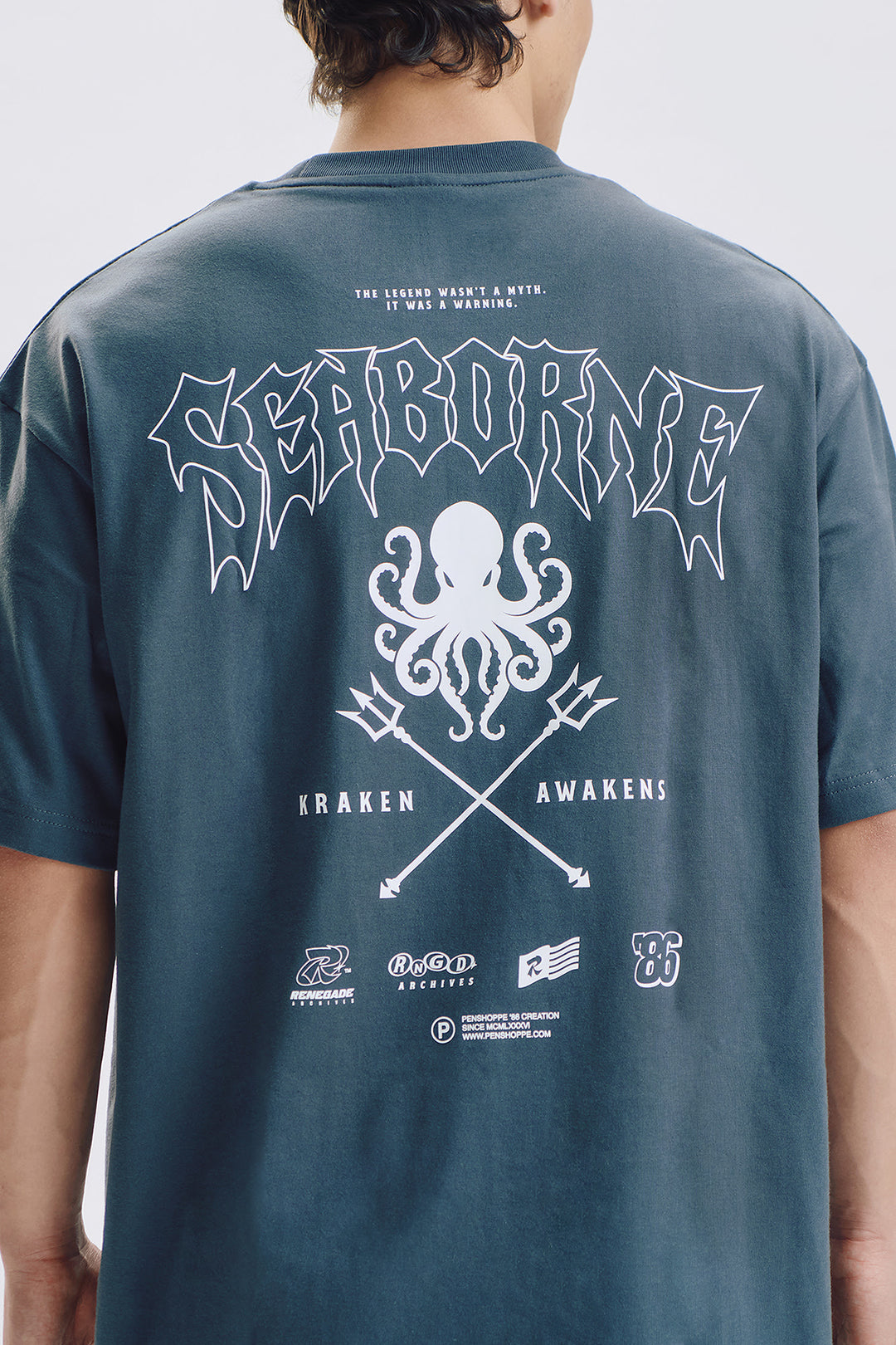 992876-Blue Stone (4).jpg