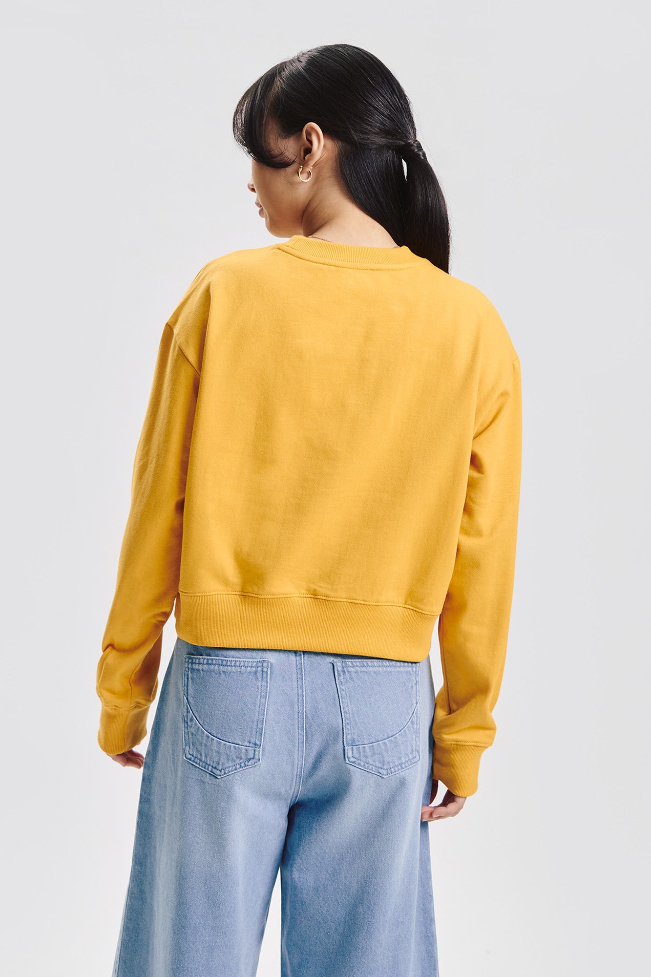 993135-Mustard (2).jpg