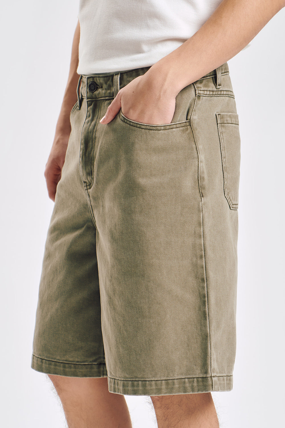 993184-Olive (2).jpg