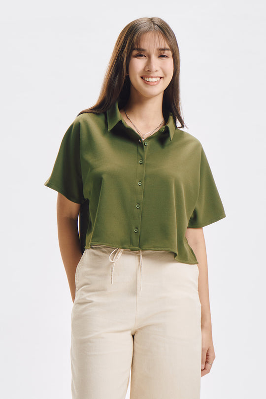 993281-Olive (4).jpg