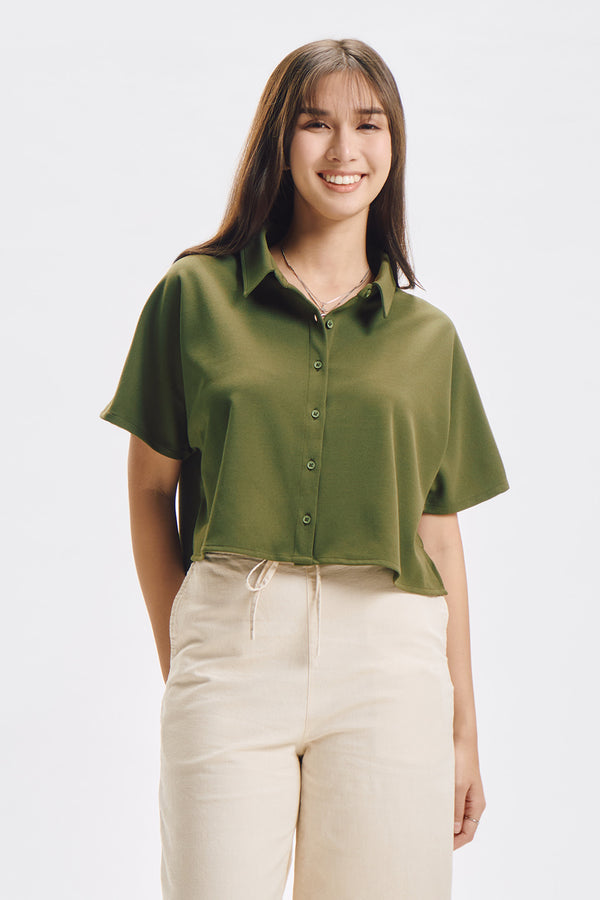 993281-Olive (4).jpg