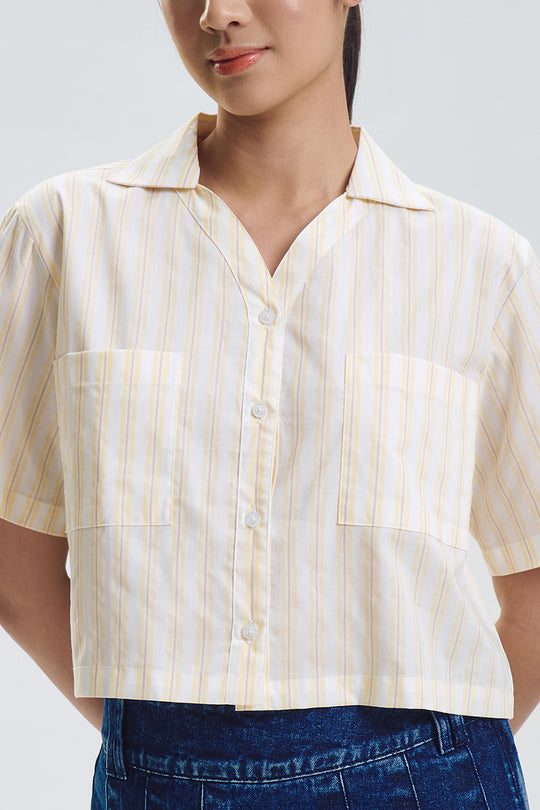 993397-Yellow (2).jpg