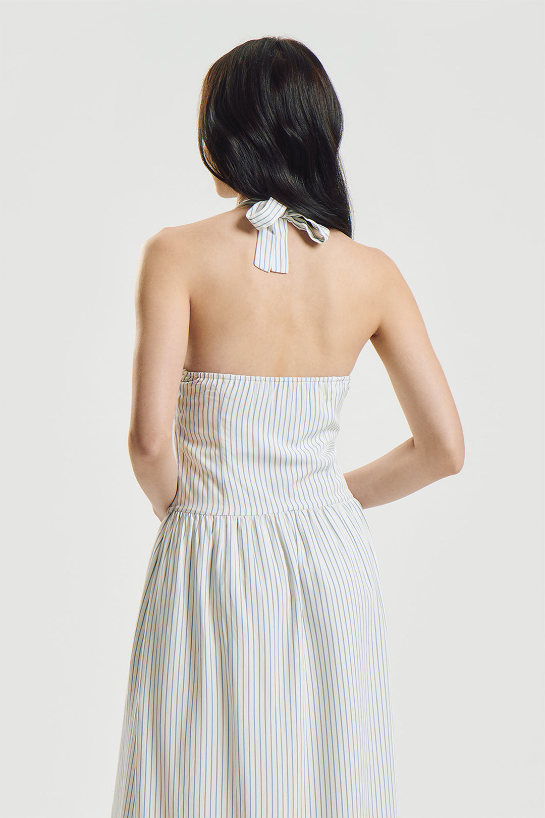 994161-Periwinkle (3).jpg