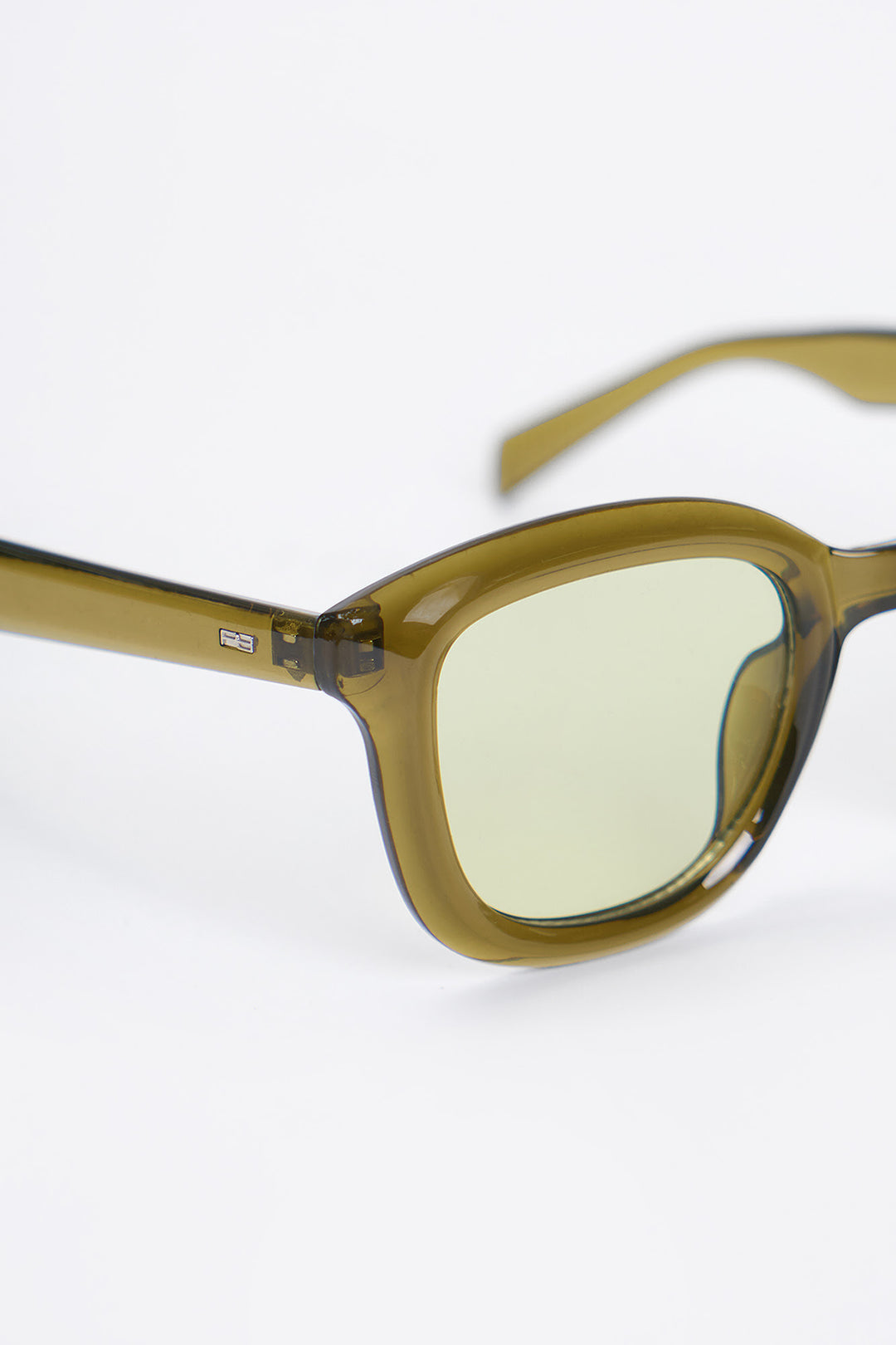 994584-Olive (2).jpg