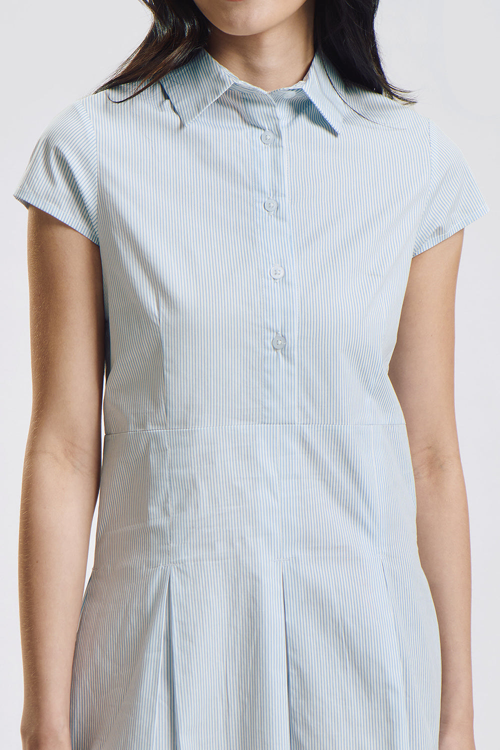 994805-Periwinkle (2).jpg