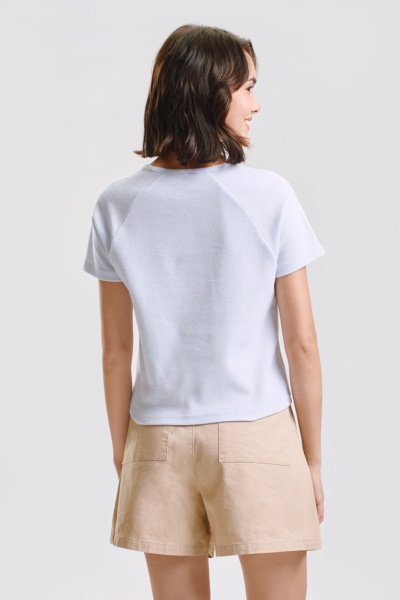 994886-Periwinkle (4).jpg
