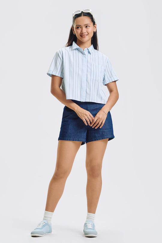 994893-Periwinkle (1).jpg