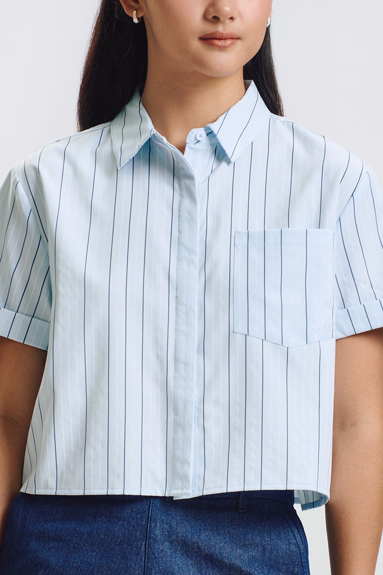 994893-Periwinkle (2).jpg