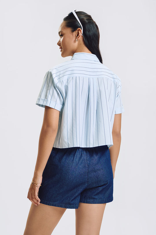 994893-Periwinkle (4).jpg