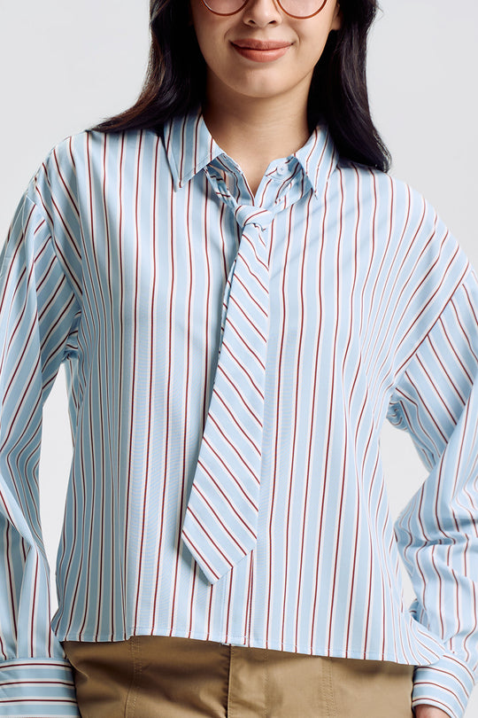 995892-Periwinkle (2).jpg