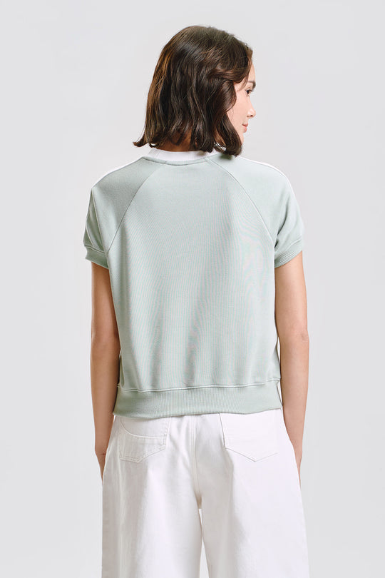 995914-Sage Green (3).jpg