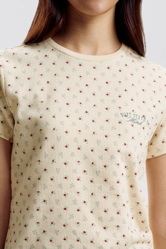 997022-Cream (2).jpg