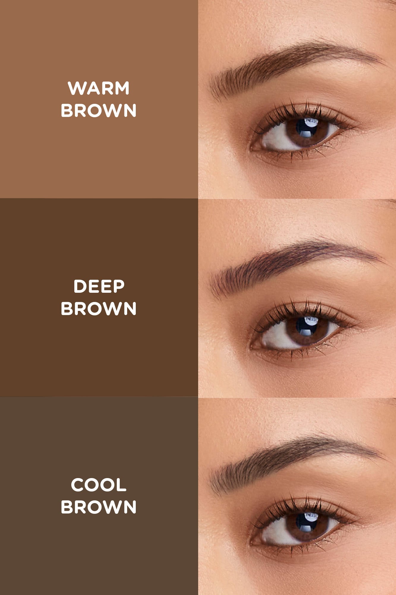 997213-Deep Brown (4).jpg