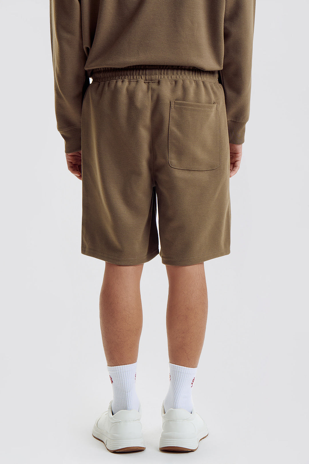998373-Olive (3).jpg