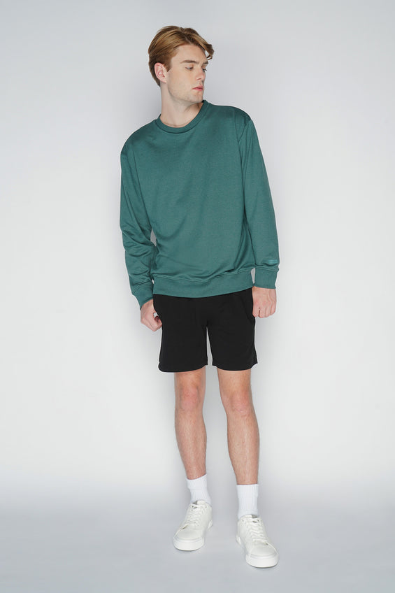 951593-Dark Green (3).jpg
