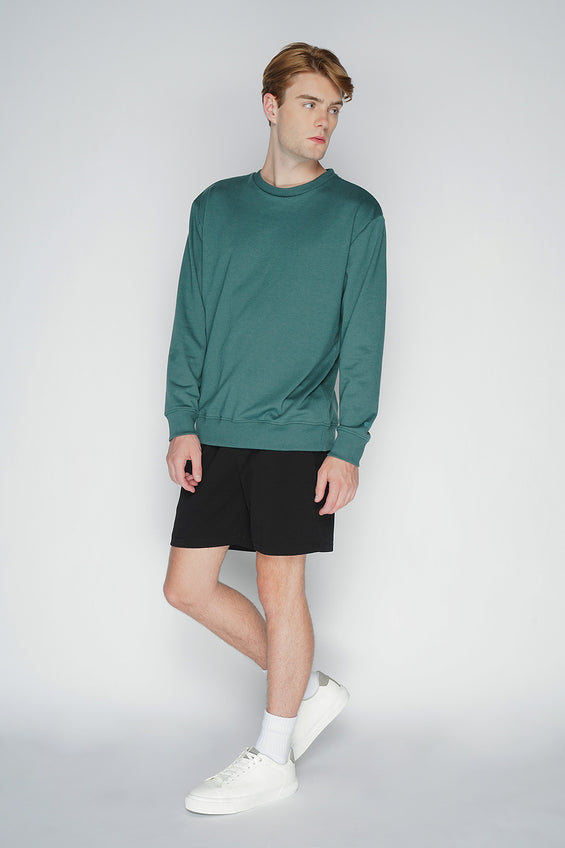 951593-Dark Green (7).jpg