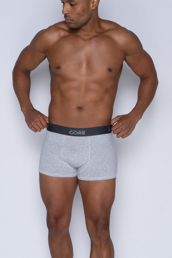 Penshoppe Core Men's Boxer Briefs