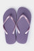 960356-Lavender (3).jpg