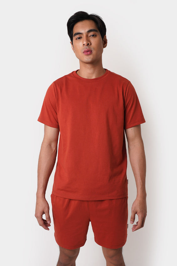 962796-Brick Red (1).jpg