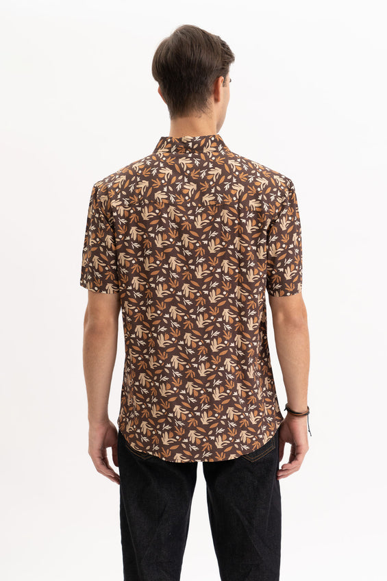 970293-Brown (2).jpg