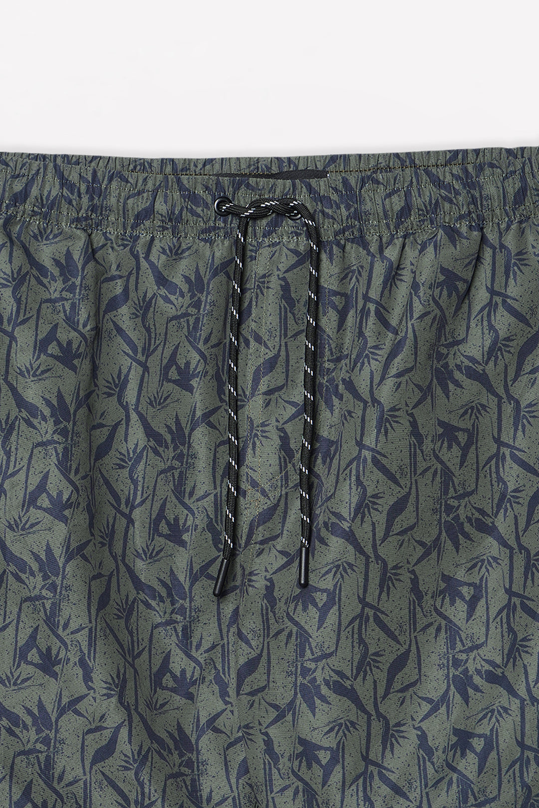 972830-Olive (2).jpg