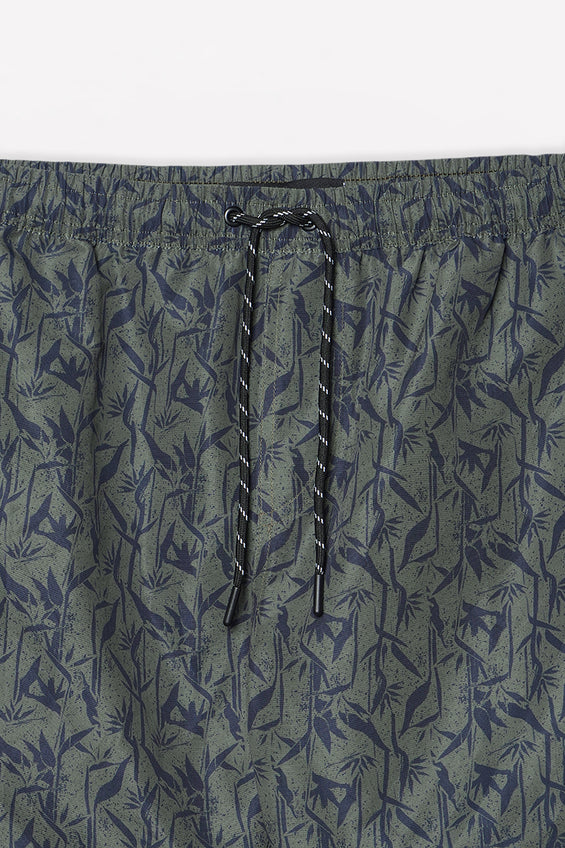 972830-Olive (2).jpg