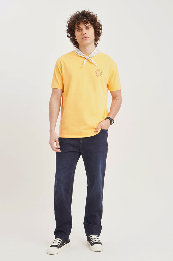 973621-Lemon (3).jpg