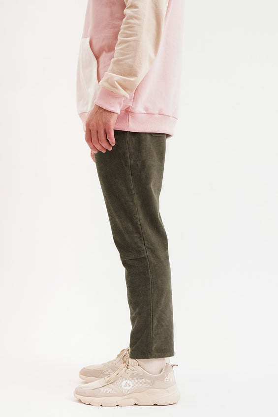 973637-Olive (2).jpg