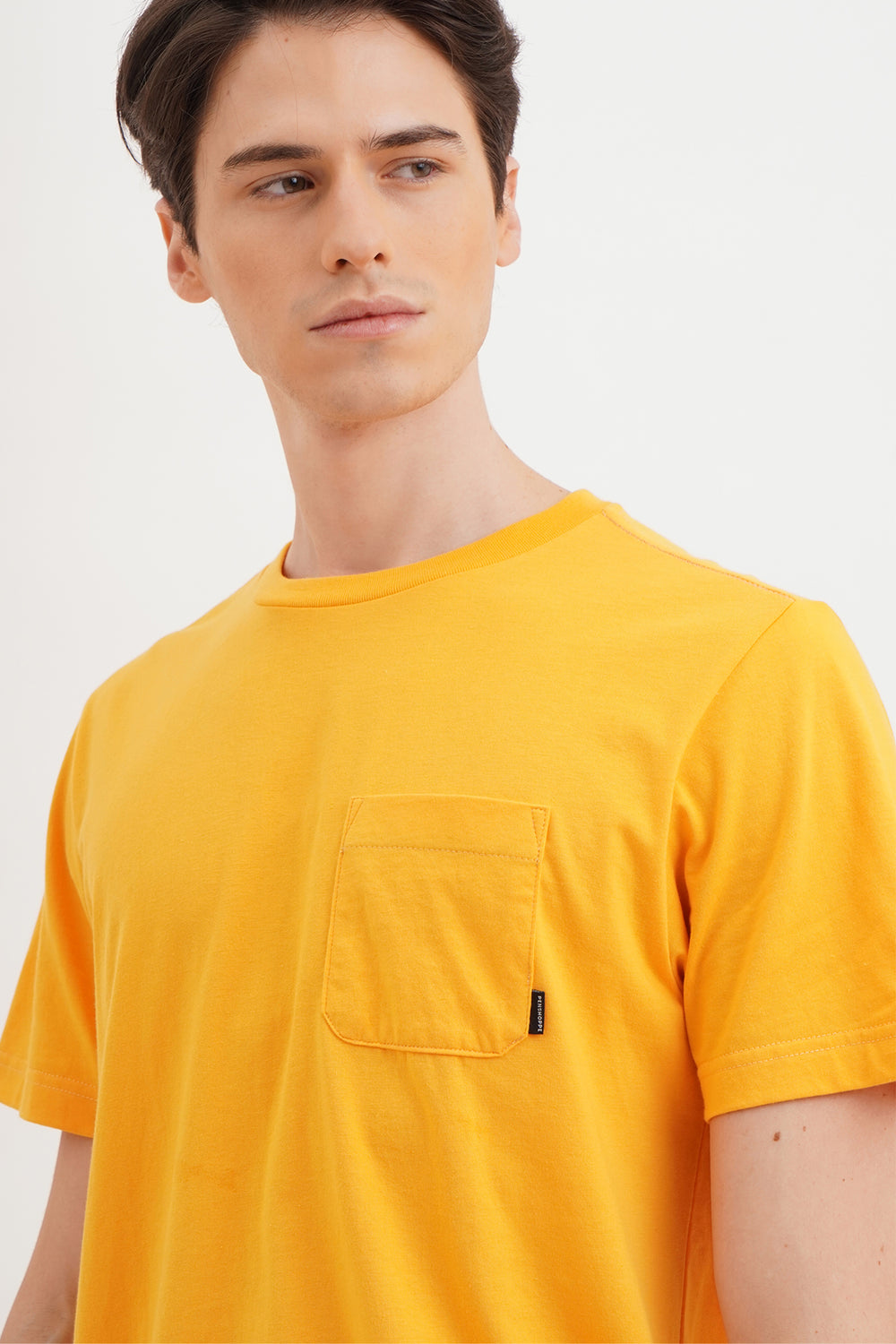 977984-Mustard (1).jpg